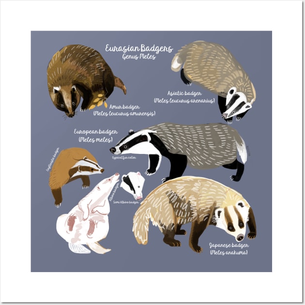 Badgers Meles Genus Poster Wall Art by belettelepink